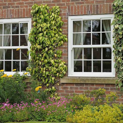 uPVC Windows Billericay